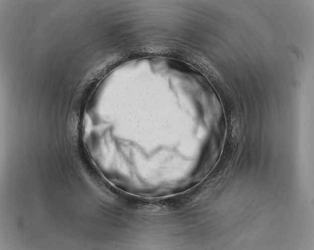 X0000113990542200910161649