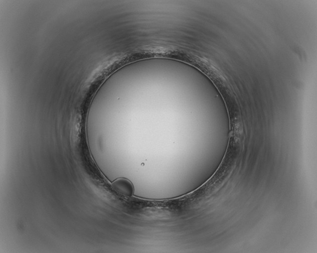 X0000113990544200910161649