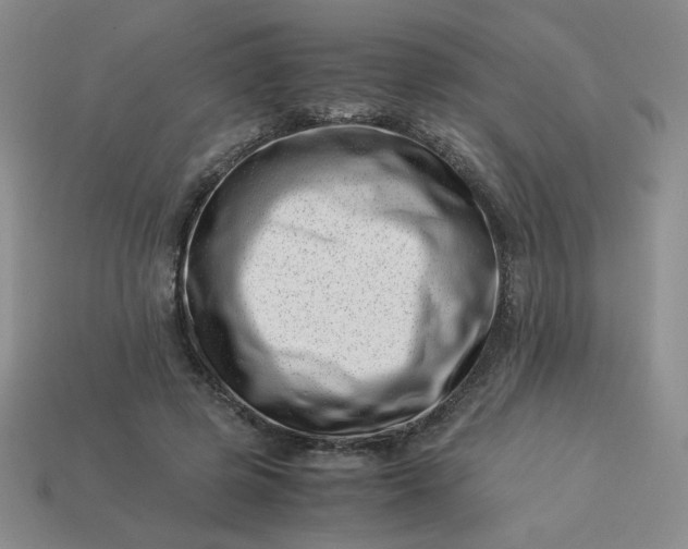 X0000113990545200910161649