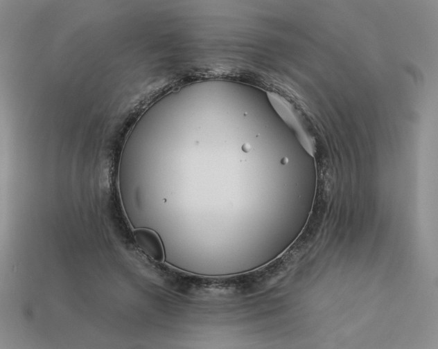 X0000113990546200910161649