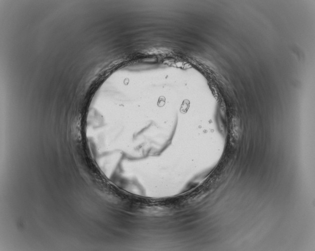 X0000113990547200910161649