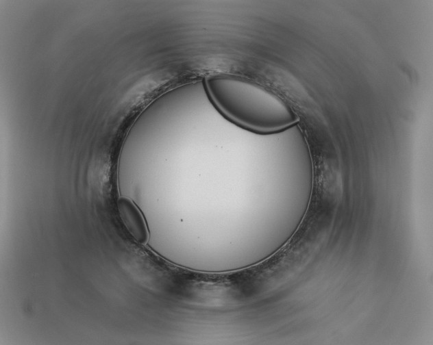 X0000113990548200910161649