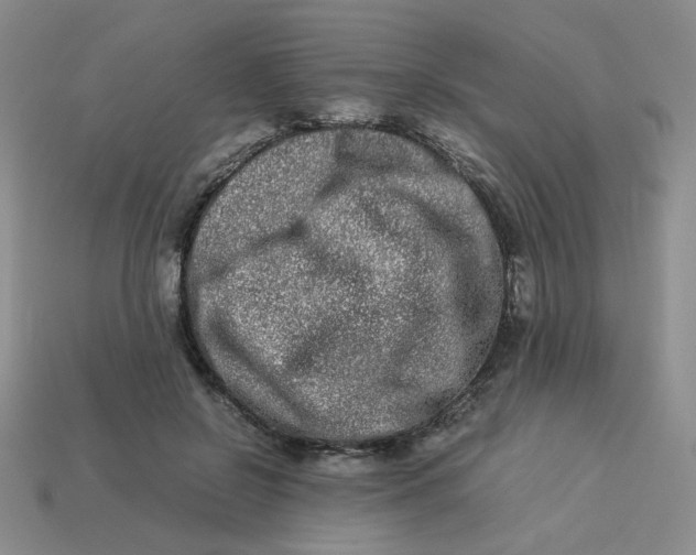 X0000113990550200910161649