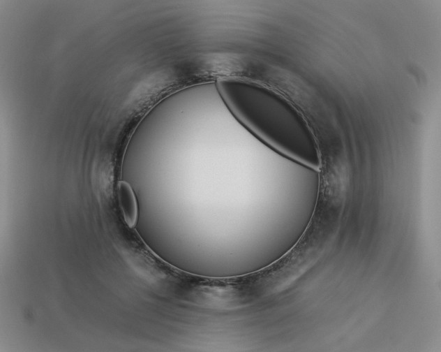 X0000113990552200910161649