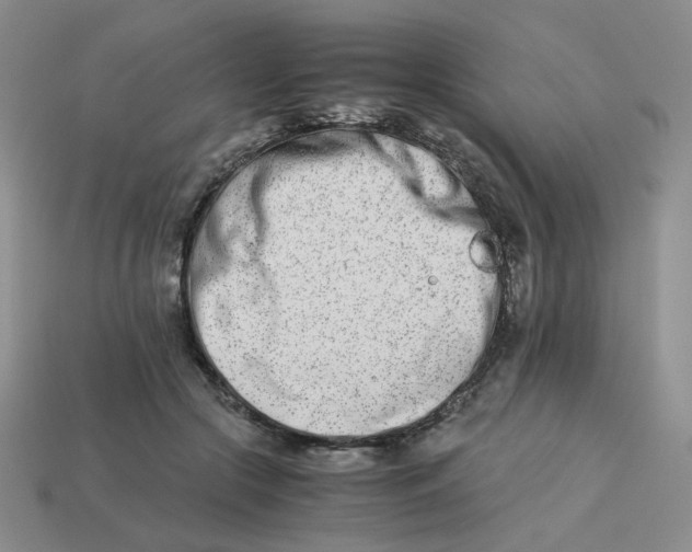 X0000113990553200910161649