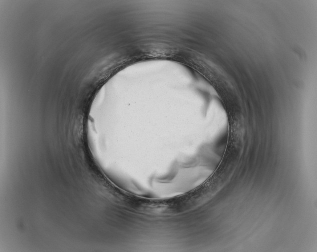 X0000113990554200910161649