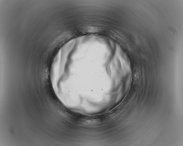 X0000113990555200910161649