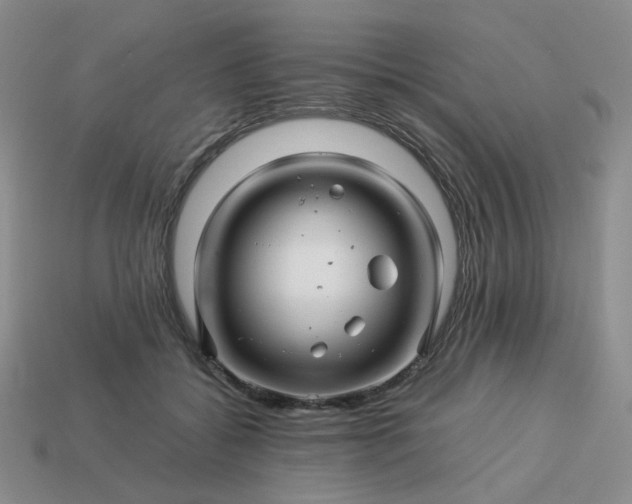 X0000113990556200910161649