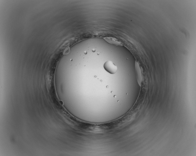 X0000113990558200910161649