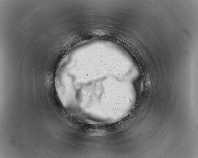 X0000113990559200910161649