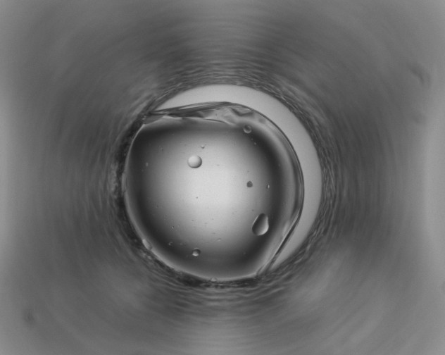 X0000113990560200910161649