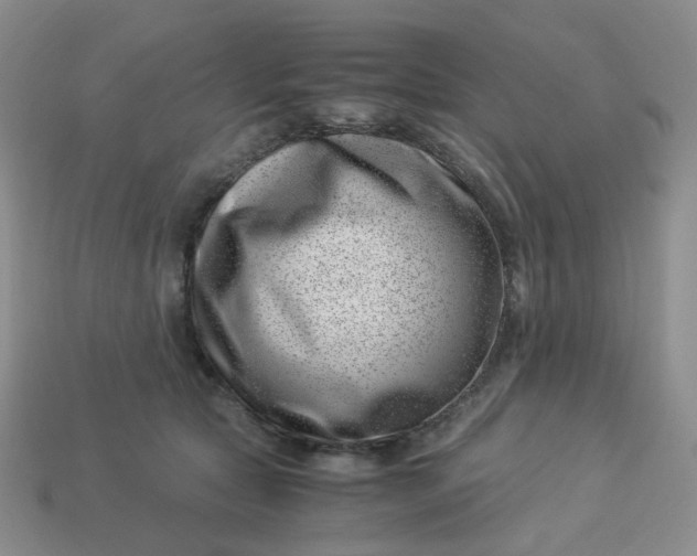 X0000113990561200910161649