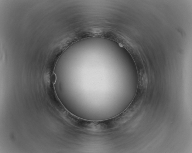 X0000113990562200910161649