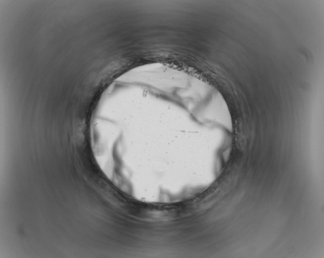 X0000113990563200910161649