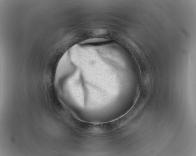 X0000113990565200910161649