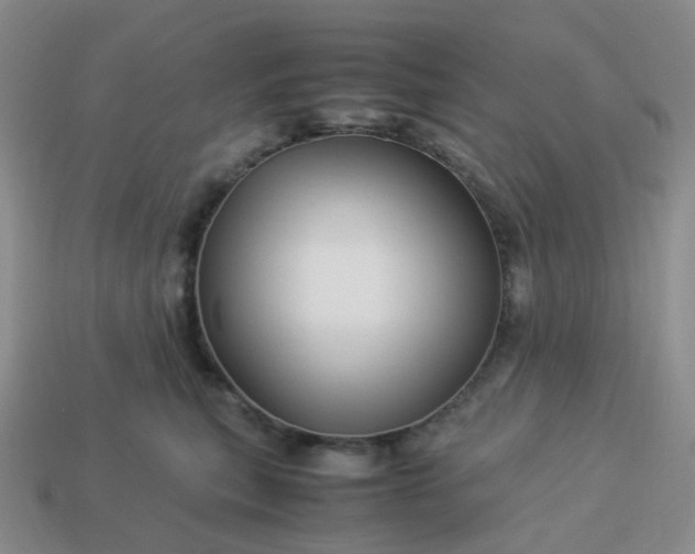 X0000113990567200910161649