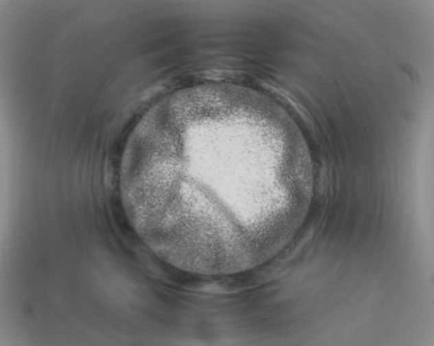 X0000113990569200910161649