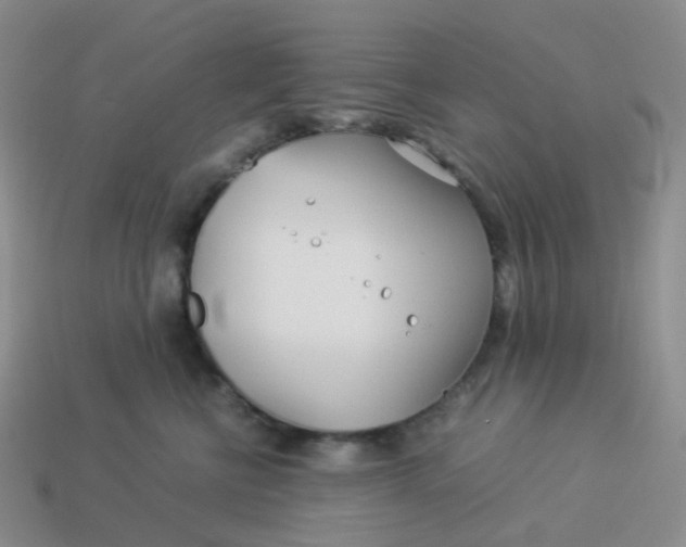 X0000113990570200910161649