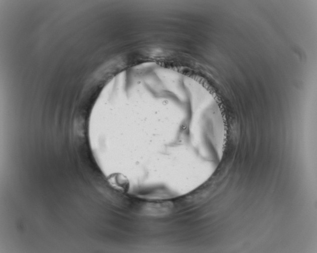 X0000113990571200910161649