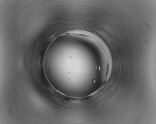 X0000113990572200910161649