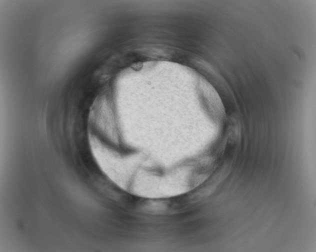 X0000113990573200910161649