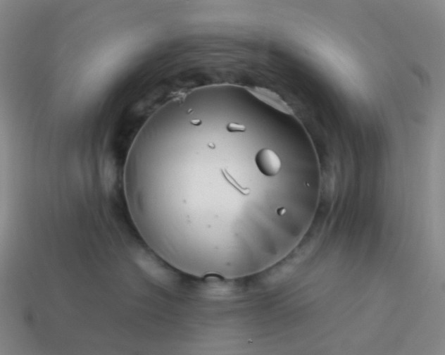 X0000113990574200910161649