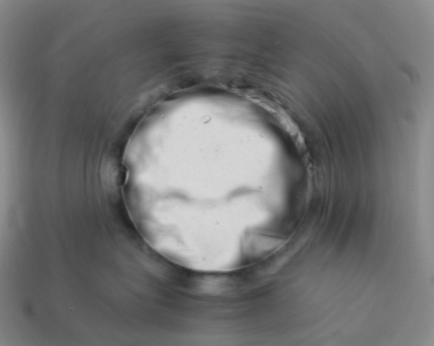 X0000113990575200910161649