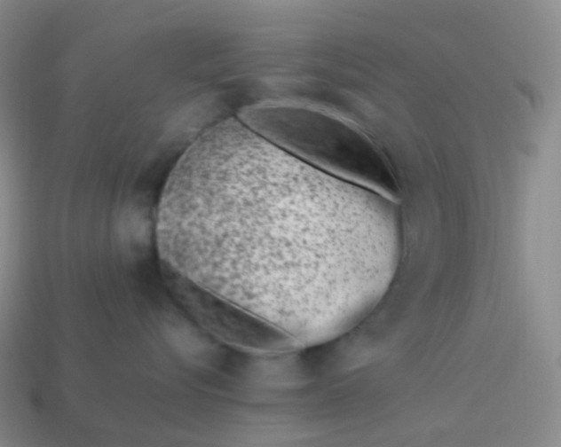 X0000113990576200910161649