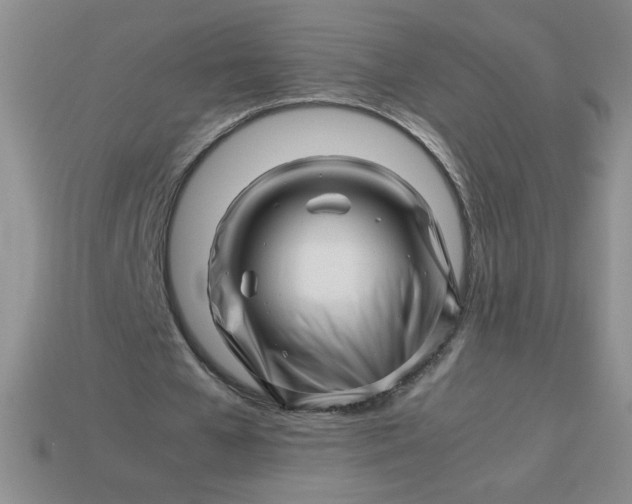 X0000113990577200910161649