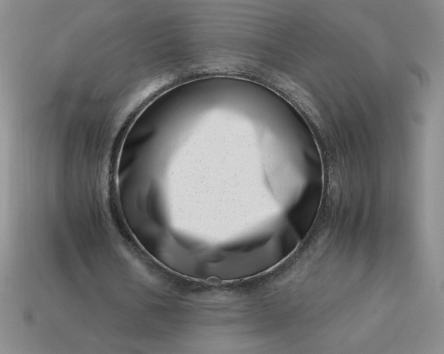 X0000113990578200910161649