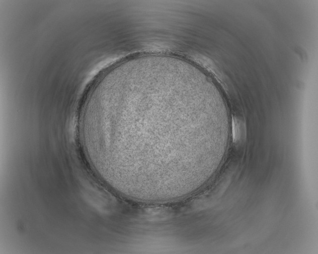 X0000113990579200910161649