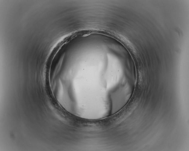 X0000113990580200910161649