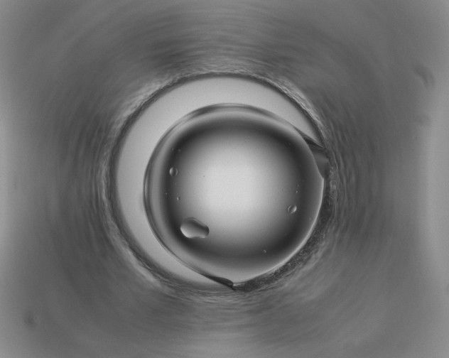 X0000113990581200910161649