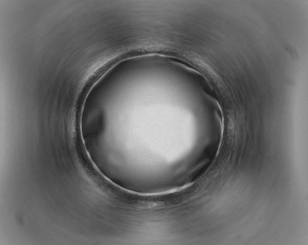 X0000113990582200910161649