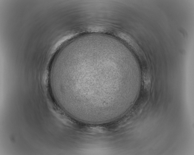 X0000113990583200910161649