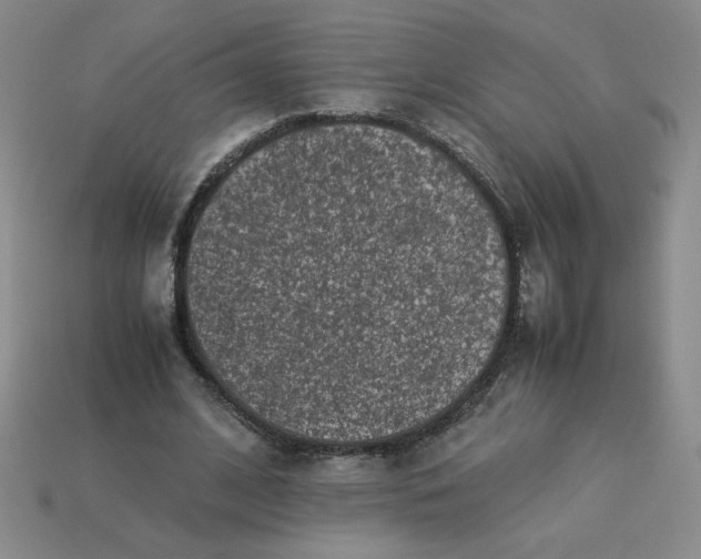 X0000113990584200910161648