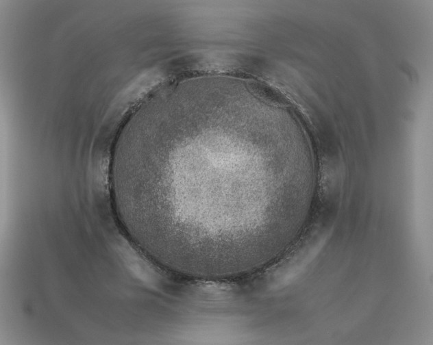 X0000113990585200910161648