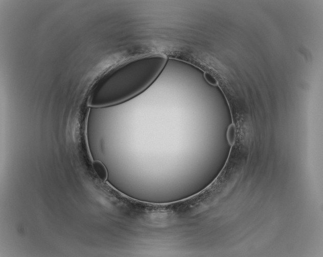 X0000113990587200910161648