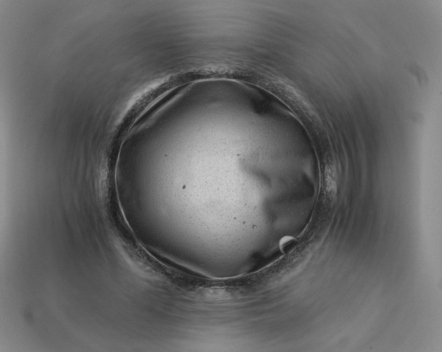 X0000113990588200910161648