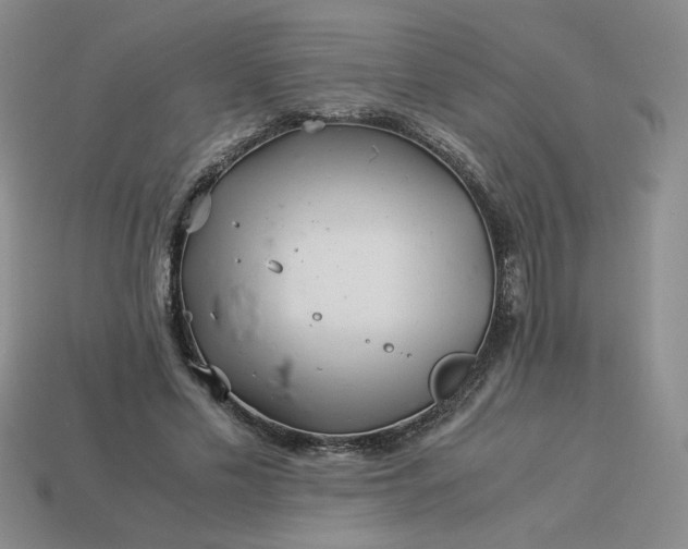 X0000113990589200910161648