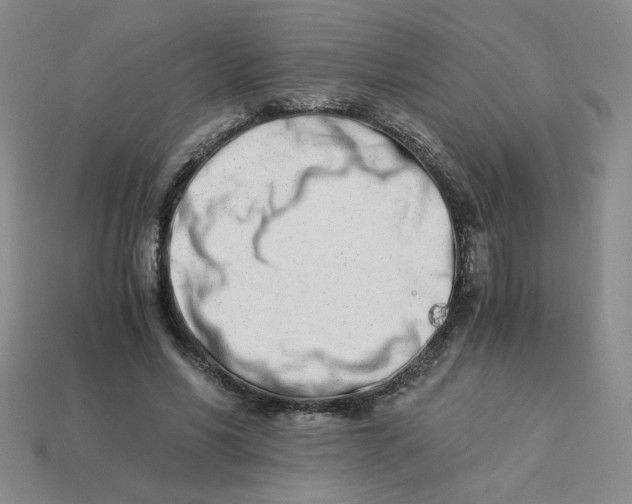 X0000113990590200910161648