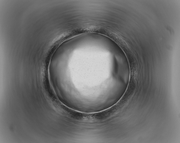 X0000113990591200910161648