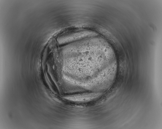 X0000113990592200910161648