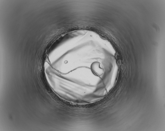 X0000113990593200910161648