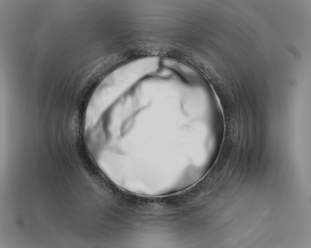 X0000113990594200910161648