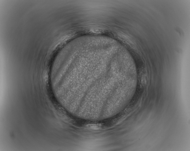 X0000113990595200910161648