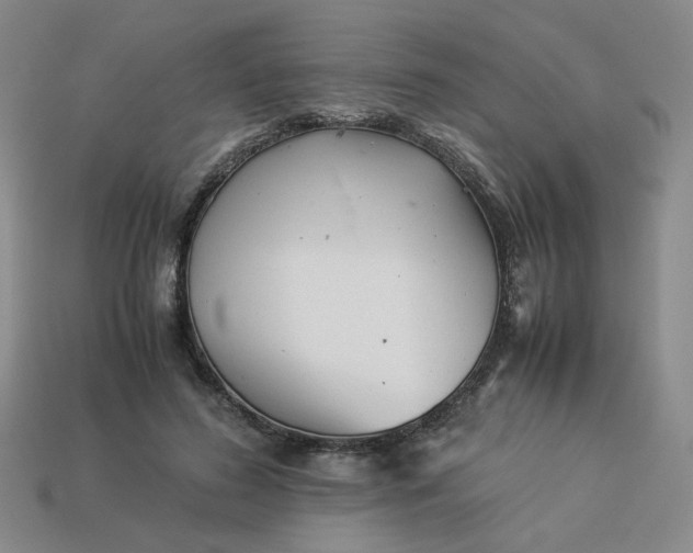 X0000113990596200910161648