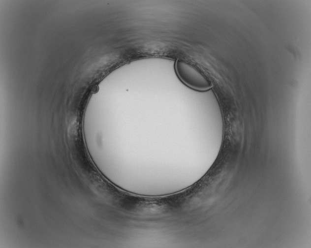 X0000113990597200910161648