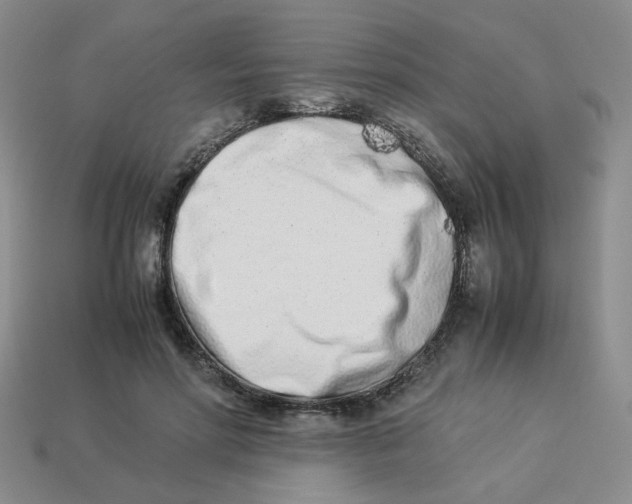 X0000113990598200910161648