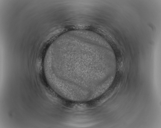 X0000113990599200910161648